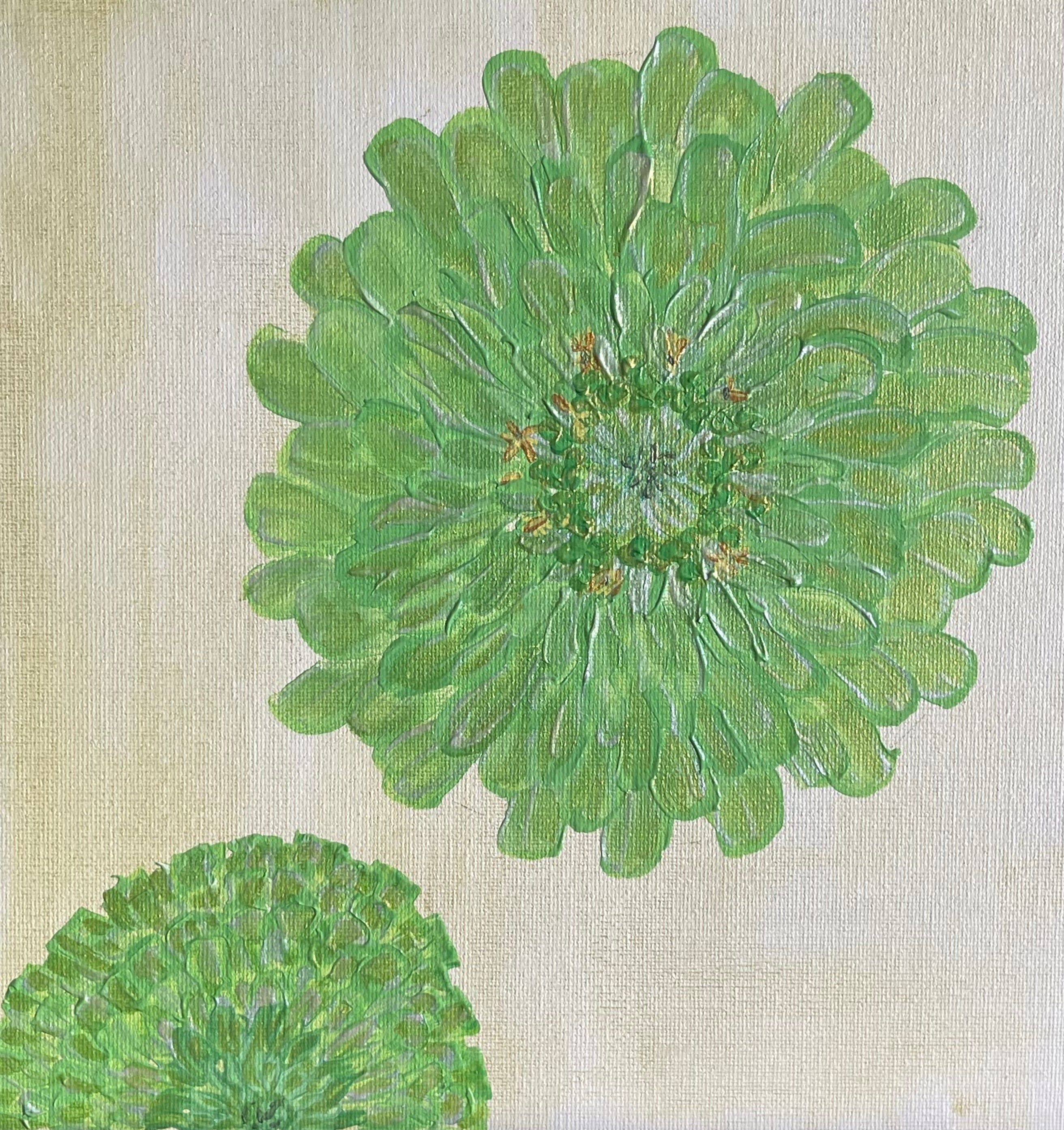 Green Zinnias