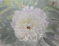 Heritage Peony